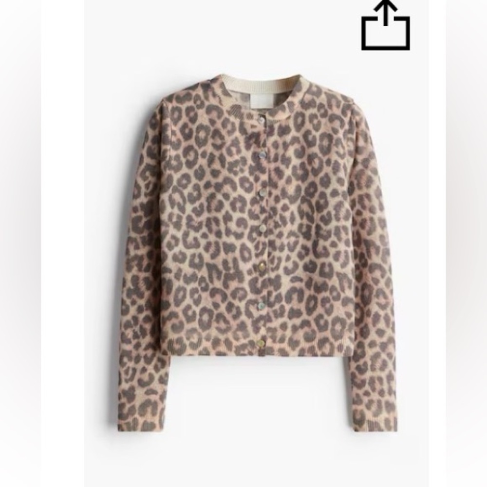 H&M Cheetah Print Fine Knit Sweater